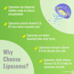 Vitamina D3 Y K2 Mk7 5000UI Liposomal 365 capsulas Upnourish - Imagen 6